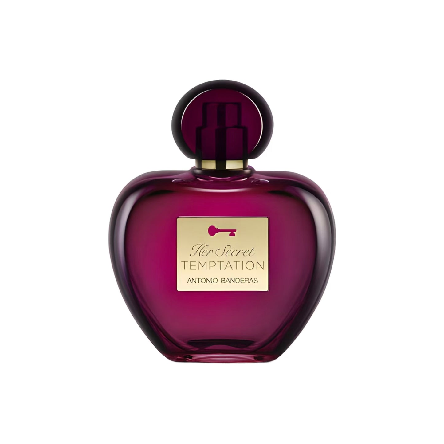 Antonio Banderas Her Secret Temptation
